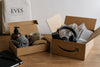 Curated Shopping vs Amazon: Which Is Better in 2026?