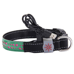 LED Glow Pet Collar with Light-Up Features