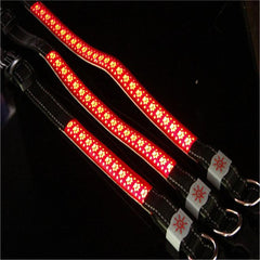 LED Glow Pet Collar with Light-Up Features