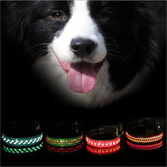 LED Glow Pet Collar with Light-Up Features