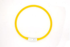 LED Fashion Dog Collar