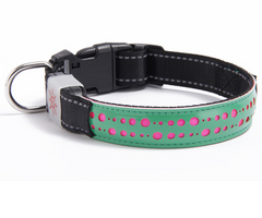 LED Glow Pet Collar with Light-Up Features