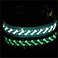 LED Glow Pet Collar with Light-Up Features