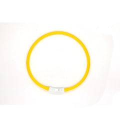 LED Fashion Dog Collar